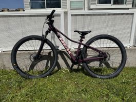 Trek Marlin 6 Mountainbike, top Zustand