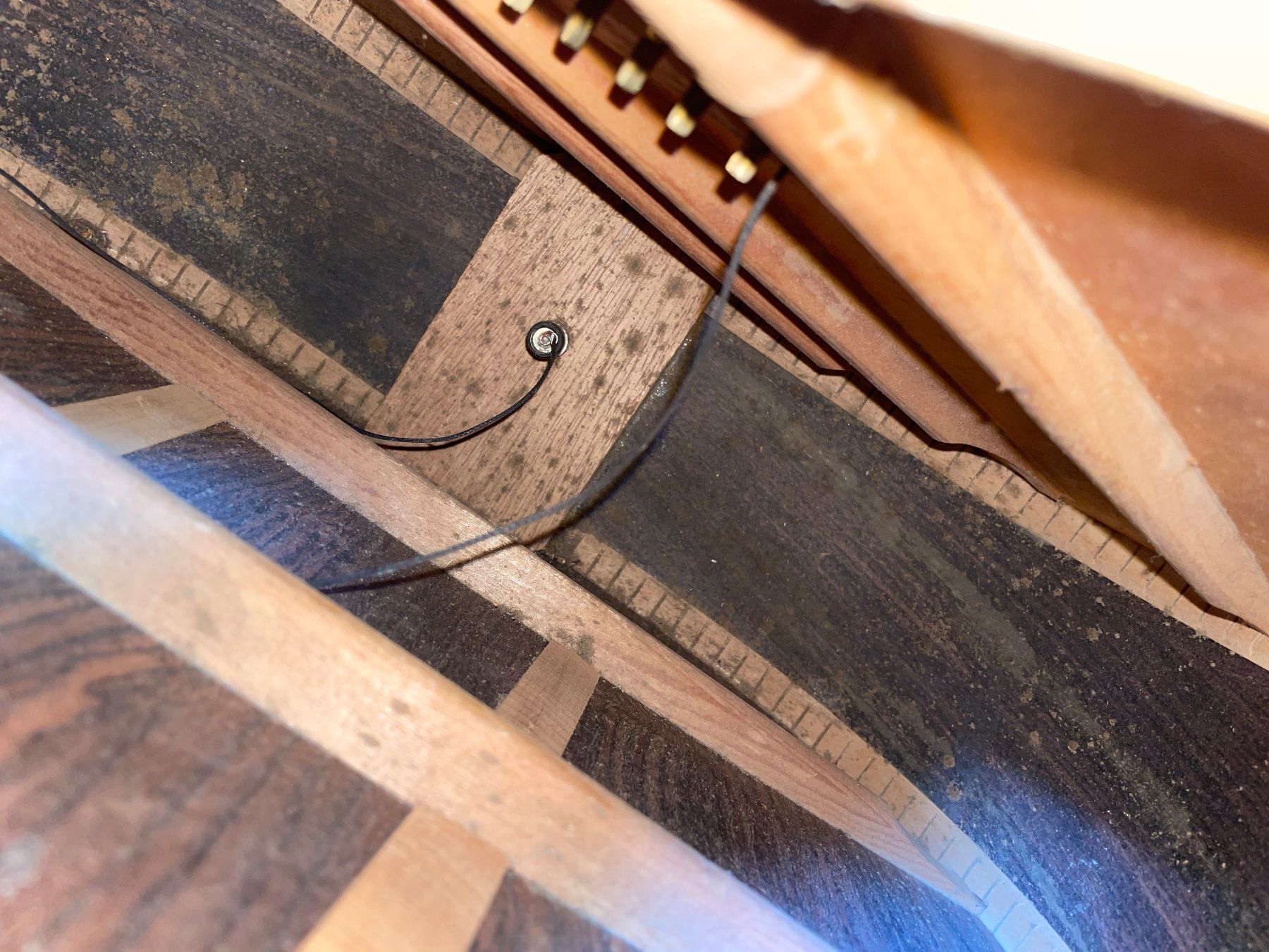 Suzuki Strumenti musicali: Western Gitarre Suzuki&Co – Usato da Thun venduto da Palmeli 8