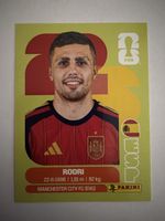 Panini ESP 10