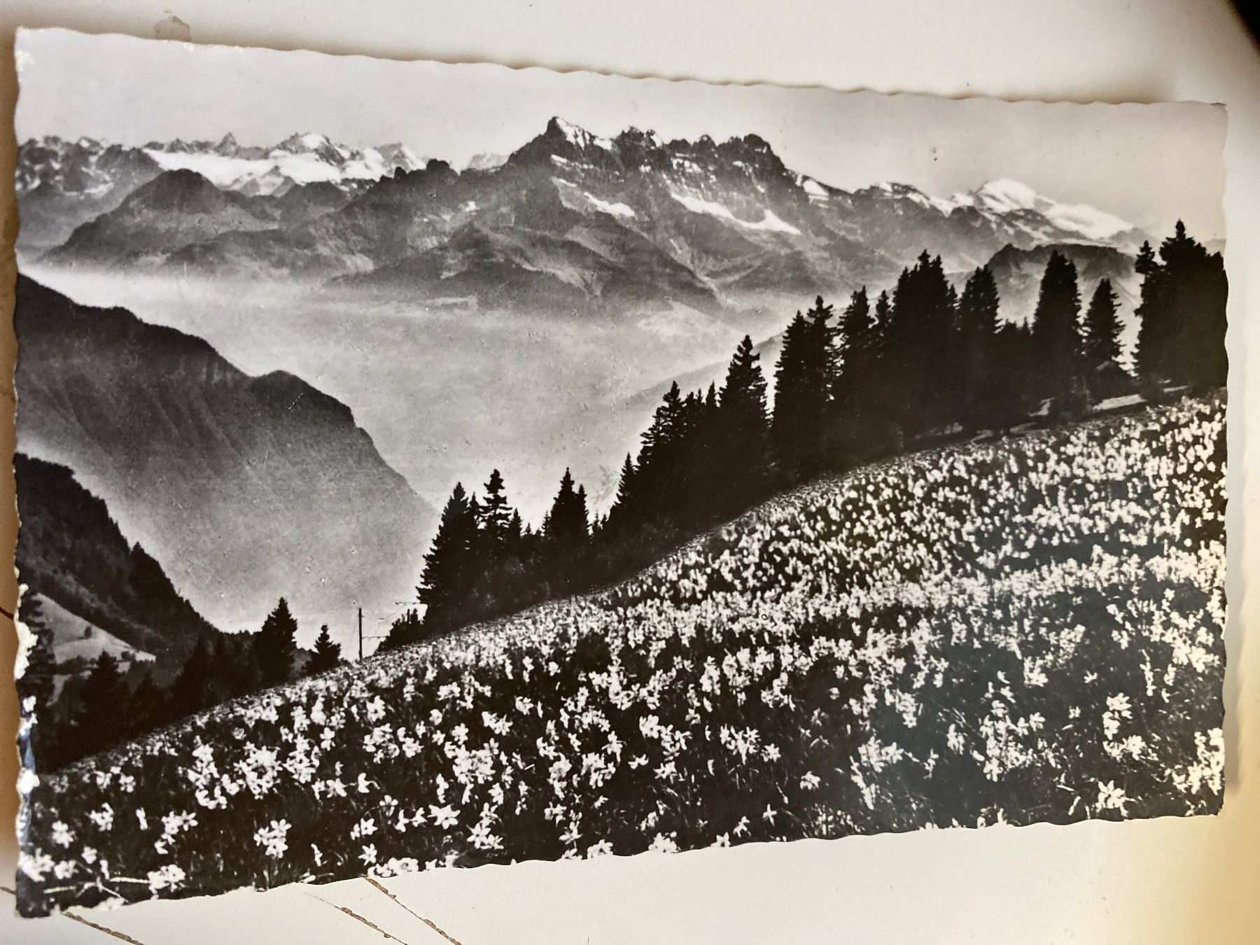Ansichtskarten: CARTE POSTALE  -  1954 - TIMBRE - DENTS DU MIDI – Gebraucht aus Le Brassus von cinema13