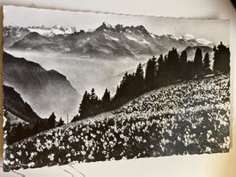 CARTE POSTALE  -  1954 - TIMBRE - DENTS DU MIDI