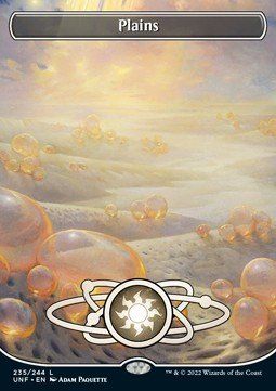 Magic The Gathering Carte collezionabili: MTG Unfinity - Plains (V.1) – Nuovo (secondo la descrizione) da Matzendorf venduto da SwissMagicKarten