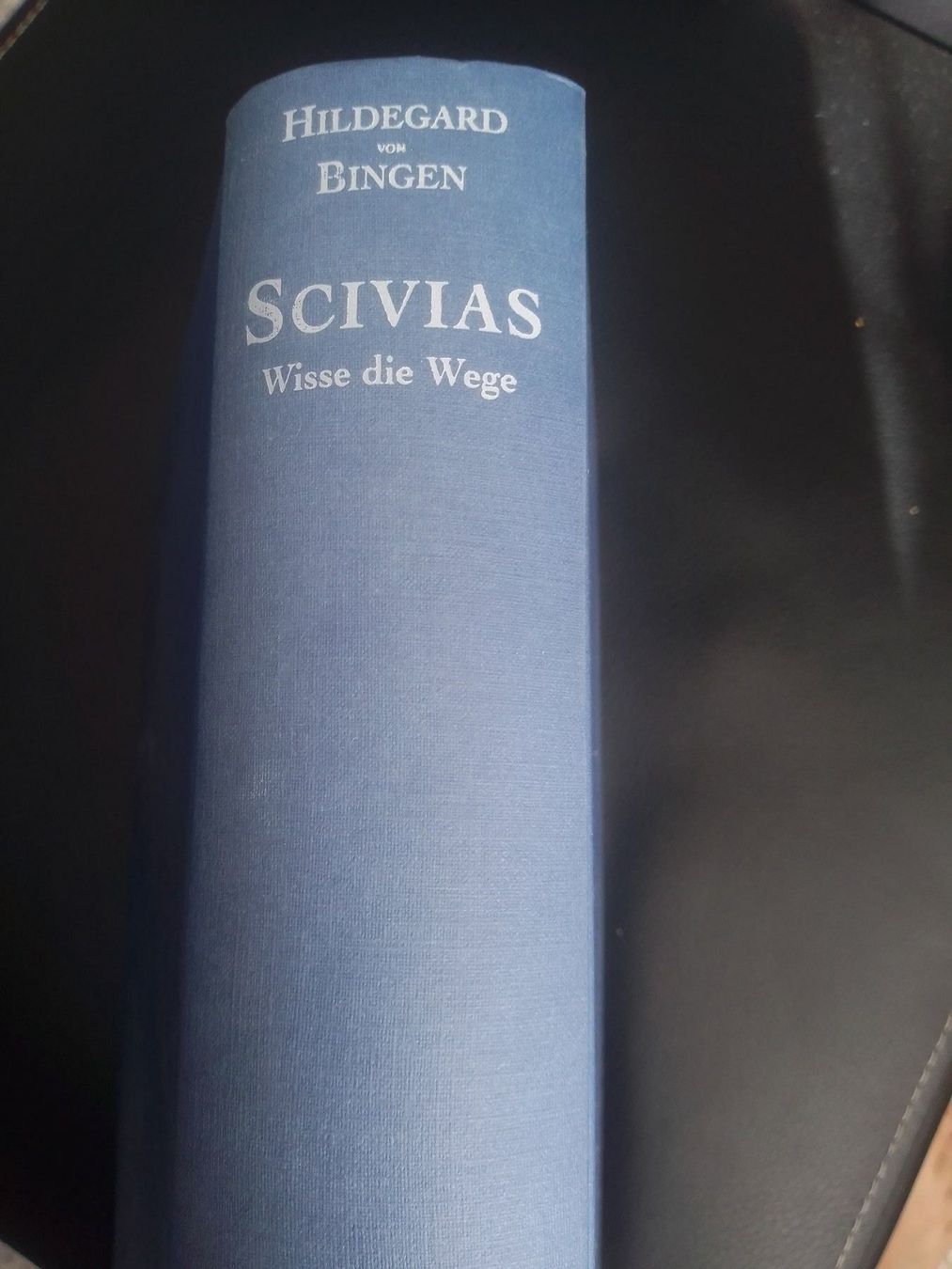 Libri: Scivias. Wisse die Wege – Usato da Bassersdorf venduto da elm_f9sw