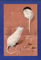 SOURIS - Carte gauffrée