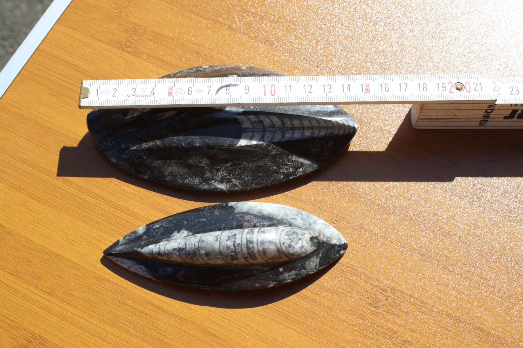 Fossili: 3 SCHÖNE STEINE POLIERT FOSSIL ECHT ?? – Usato da Wauwil venduto da Pneuedy 8