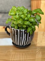 Blumentopf aus Ton/Pflanzentopf/Tontopf inkl. Untersetzer