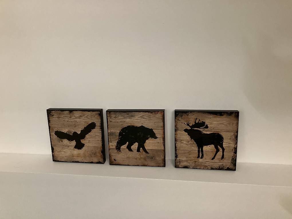 Articoli in legno: Cadres style montagne x 3 – Usato da Genolier venduto da Mamati3