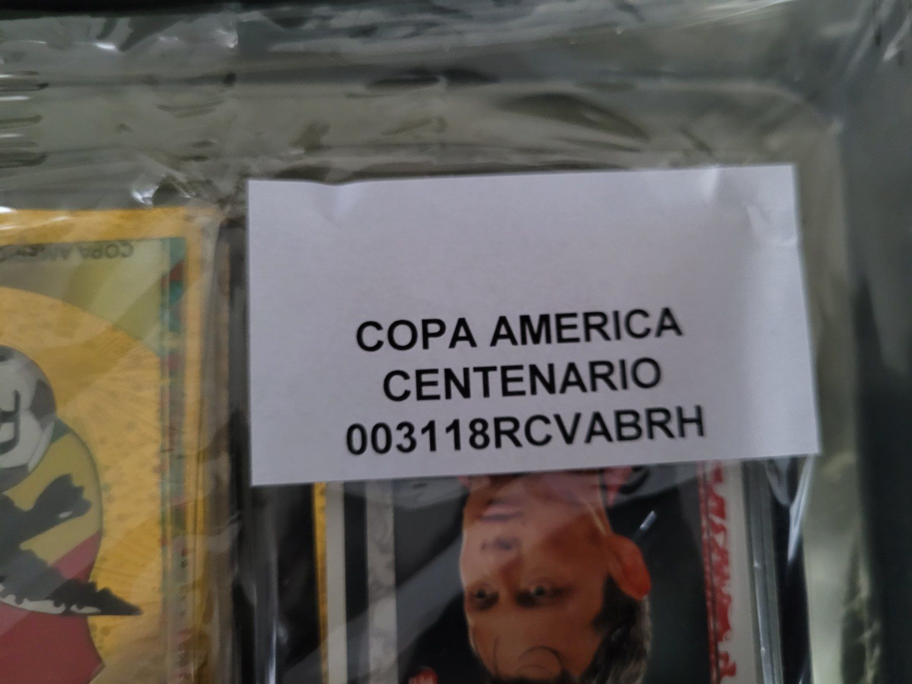 Leine & Halsband: Panini Copa America Centenario 2016 mit Messi  + Puzzle FIFA – Gebraucht aus Nürensdorf von spartacus64 1