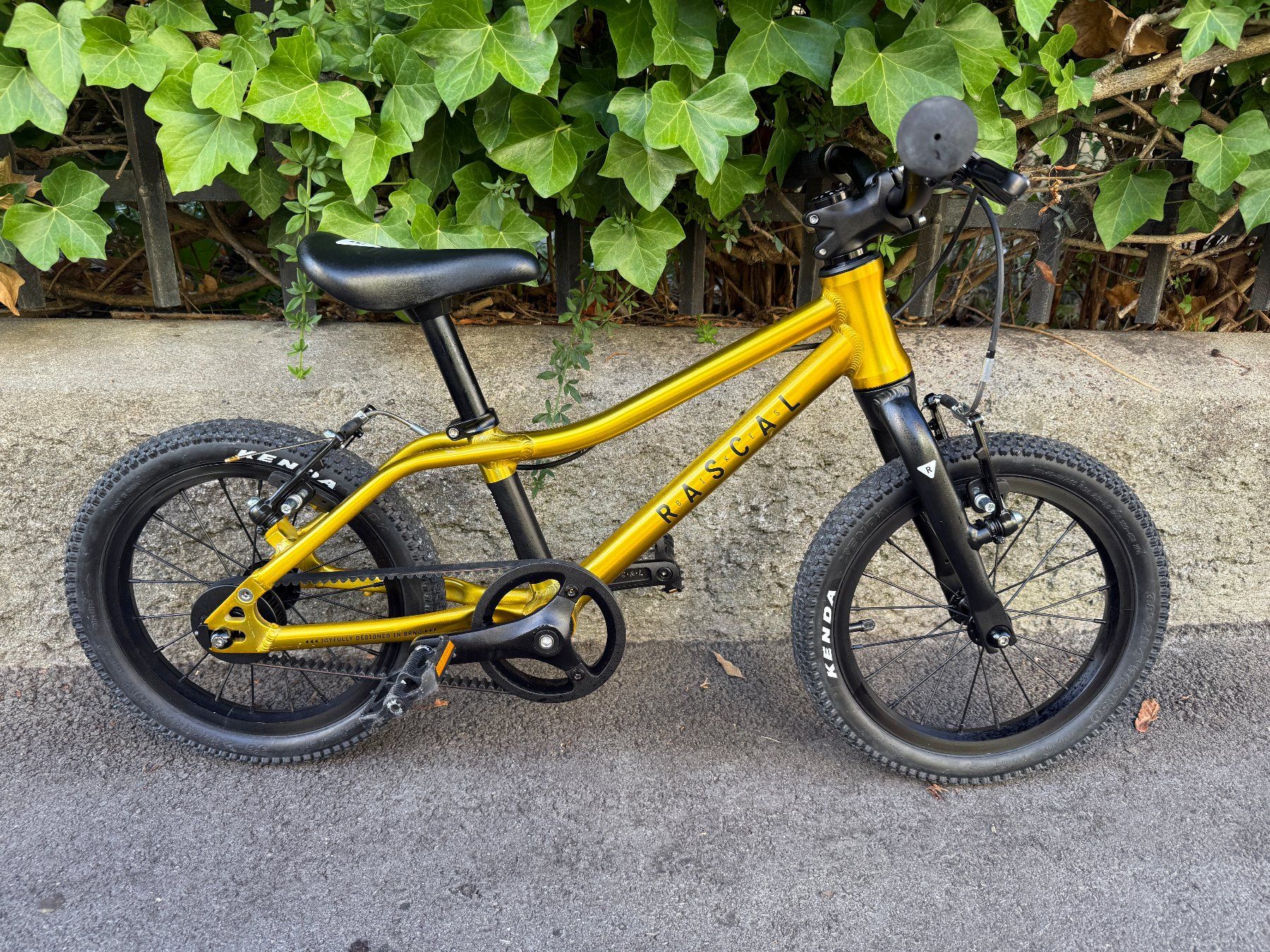 Velos: Rascal 14 Zoll Kinderfahrrad – Gebraucht aus Bern von patso