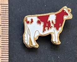 Kuh gefleckt, Pin