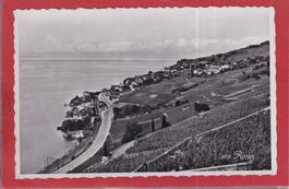 Rivaz (VD) - Vue générale - 1953