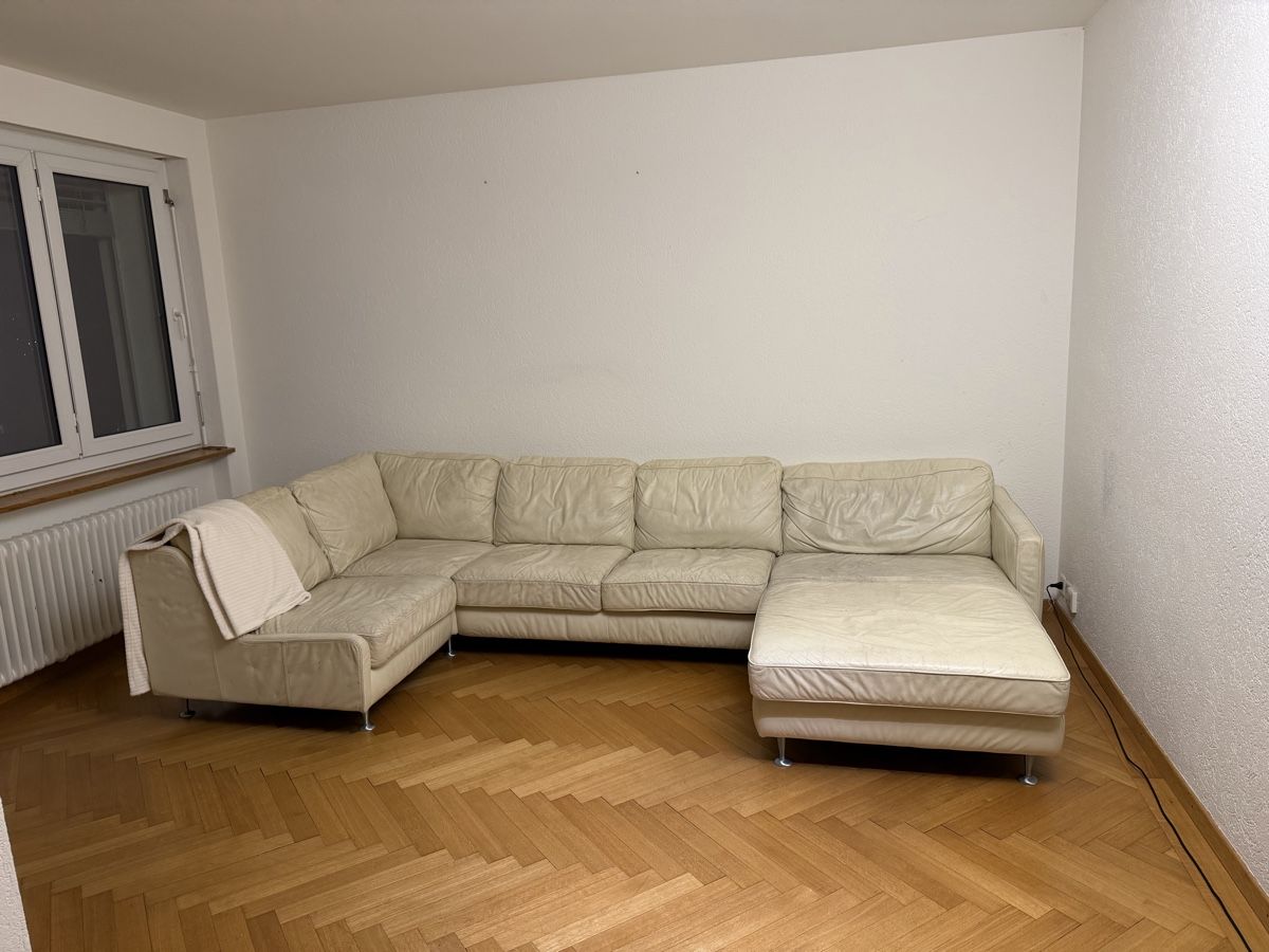 Sofas: Leather design sofa (6-8 seats) – Gebraucht aus Küsnacht ZH von gio_jgc6