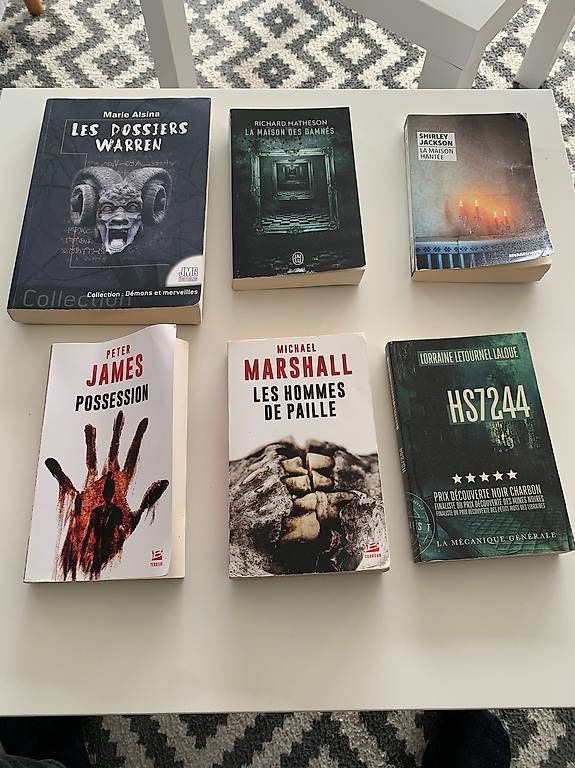 Bücher: Roman thriller épouvante horreur – Gebraucht aus Bussigny von Gadz10