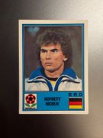 Panini Europa 1980 - BRD Norbert Nigbur #37