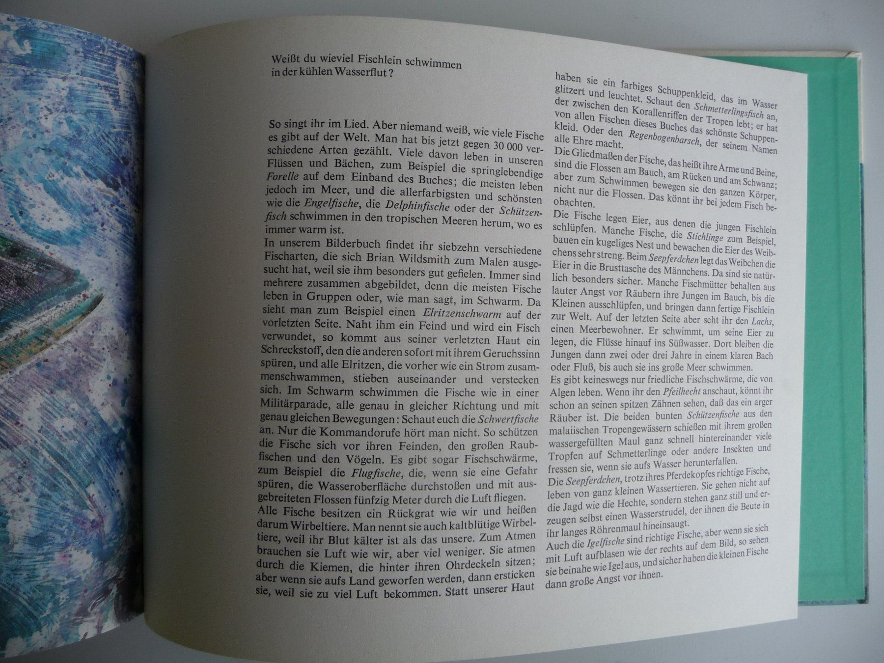 Libri: BRIAN WILDSMITH - FISCHE, ANTIKES KINDERBUCH – Usato da Aesch BL venduto da Imoonlight 5