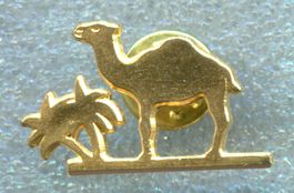 CAMEL  