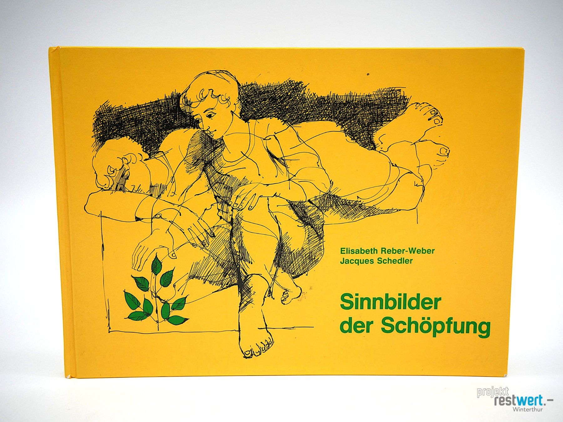 Libri: ELISABETH R. WEBER - Sinnbilder der Schöpfung – Usato da Winterthur venduto da Restwert_Winterthur