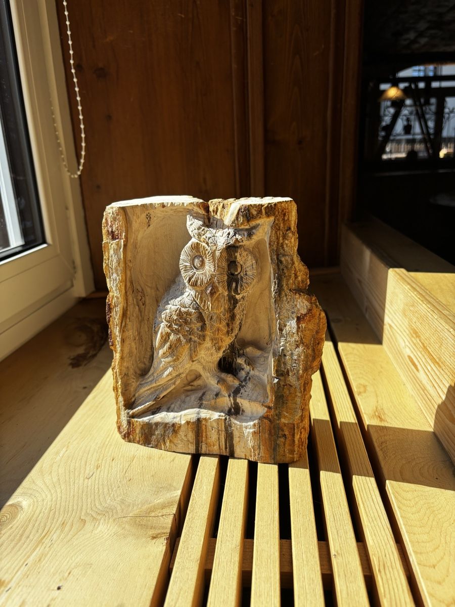 Skulpturen & Statuen: Handgeschnitzte Eule versteinertes Holz, ca. 20cm – Neu (gemäss Beschreibung) aus Jenaz von AlphaWolf74 1