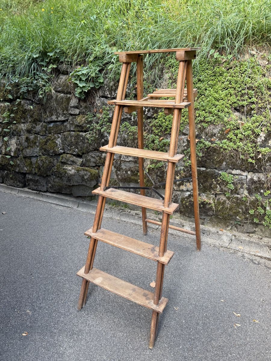 Scale: Bibliotheksleiter Vintage – Usato da St. Gallen venduto da Alkira-Lugh