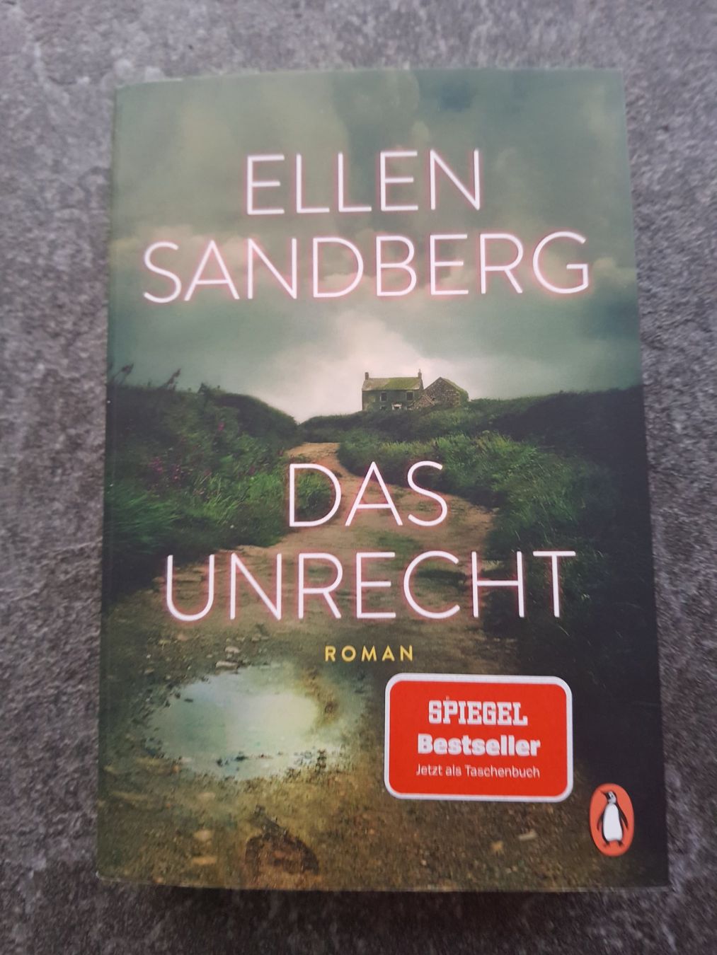 DAS UNRECHT / Ellen Sandberg / Kriminalroman (Gebraucht) in Dietikon