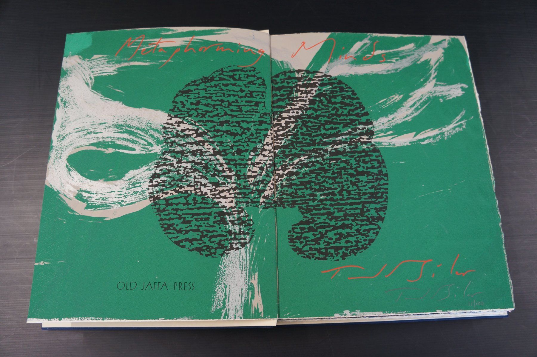 Libri: Metaphorming Minds von Todd Siler – Usato da Basel venduto da bk_brockibasel 1