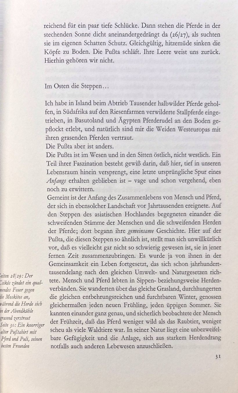 Libri: Bruns Ursula, Ungarns verborgene Herden – Usato da Sarnen venduto da Livres 9