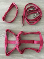 Trixie Geschirr, Leine & Halsband Set in der Farbe Fuchsia