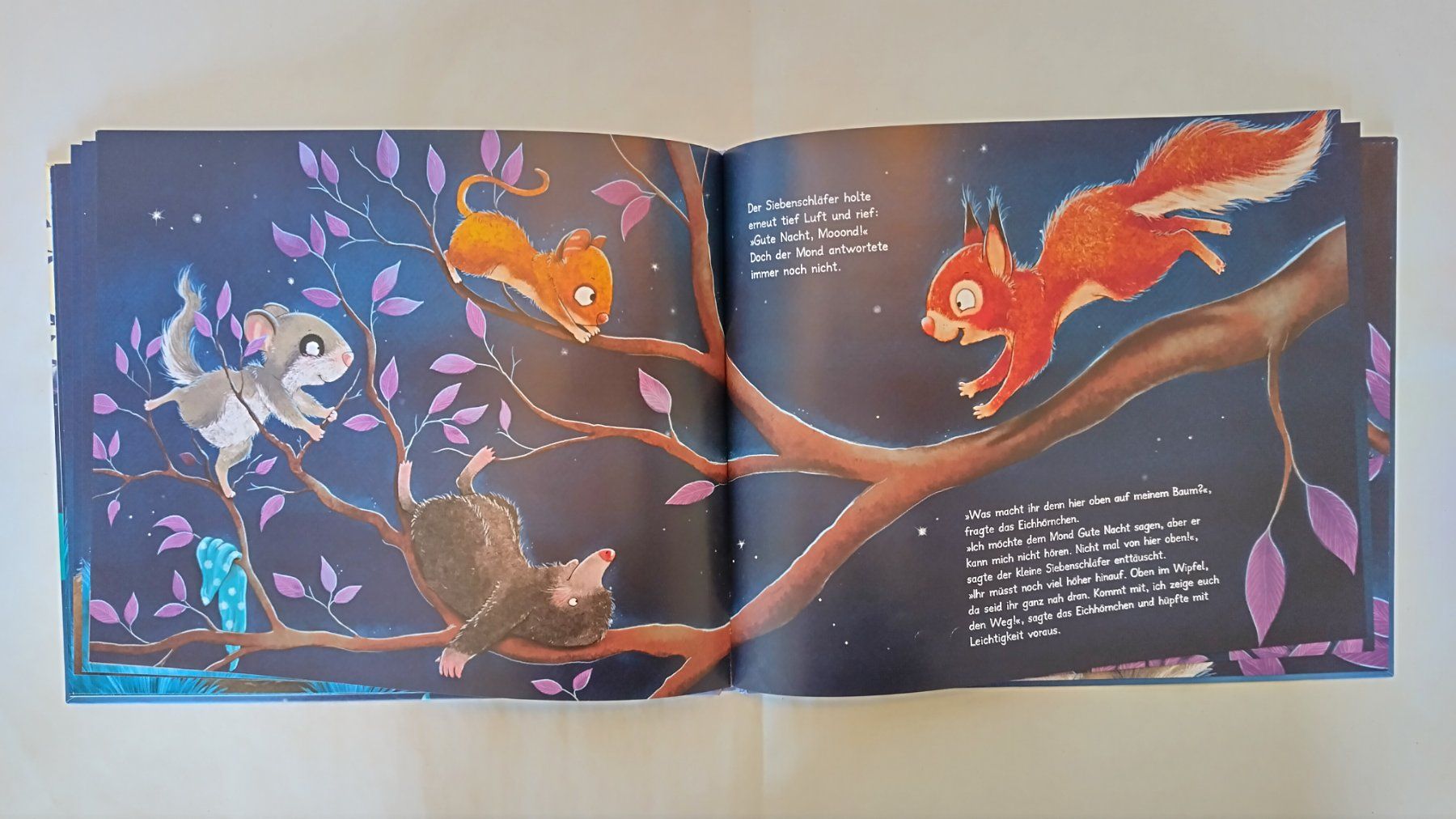Libri: Die Geschichte vom kleinen Siebenschläfer der dem Mond.... – Usato da Bellach venduto da JingleJerry 6