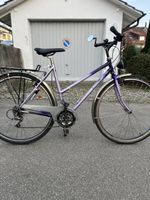 Schönes Damenfahrrad