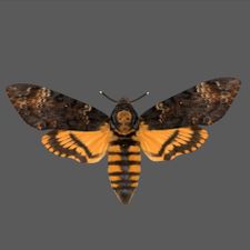 Profile image of Atropos57