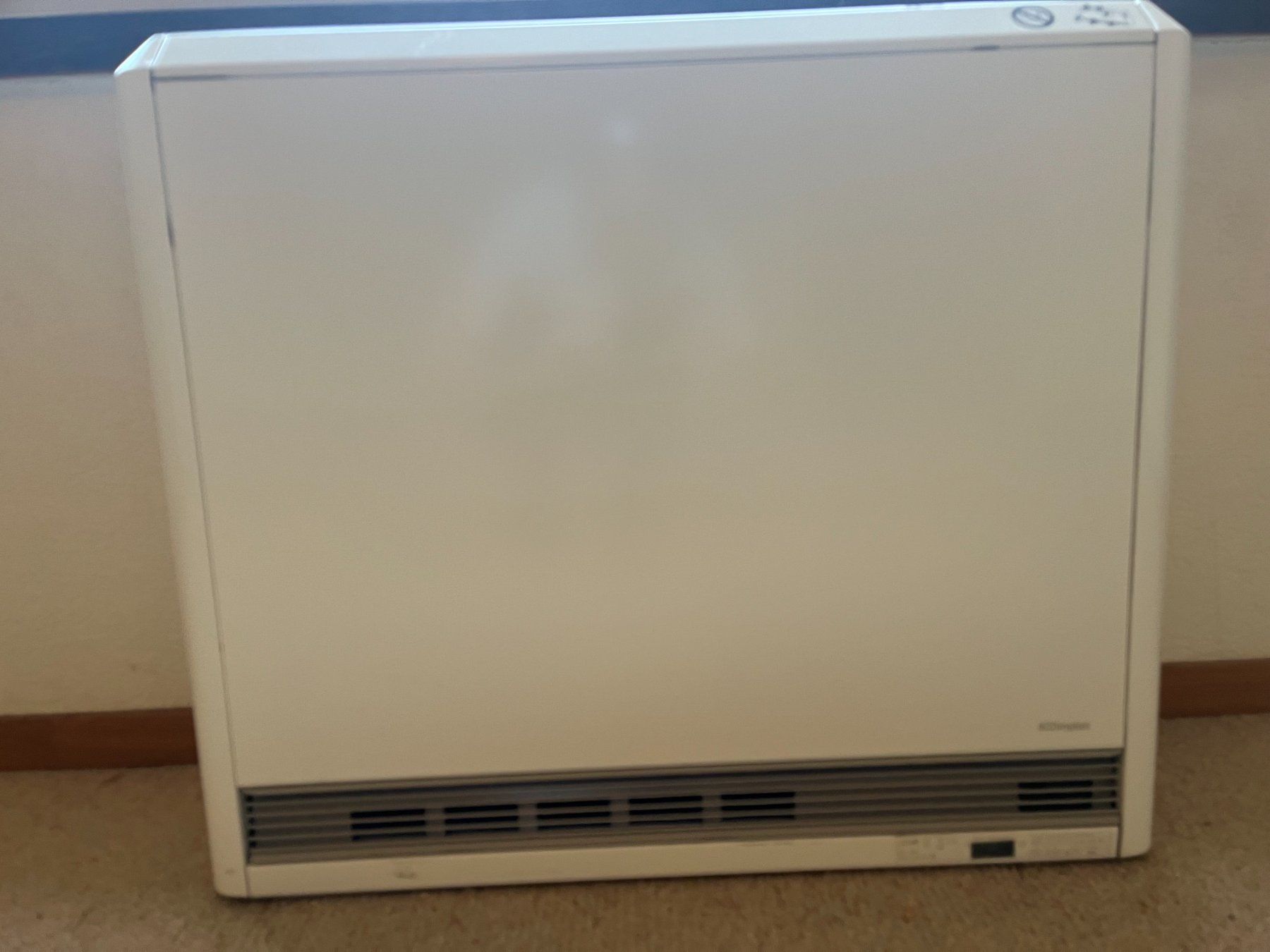 Radiatori: Dimplex S30E Wärmespeicher 3kw – Usato da Leuggern venduto da Yzerman2