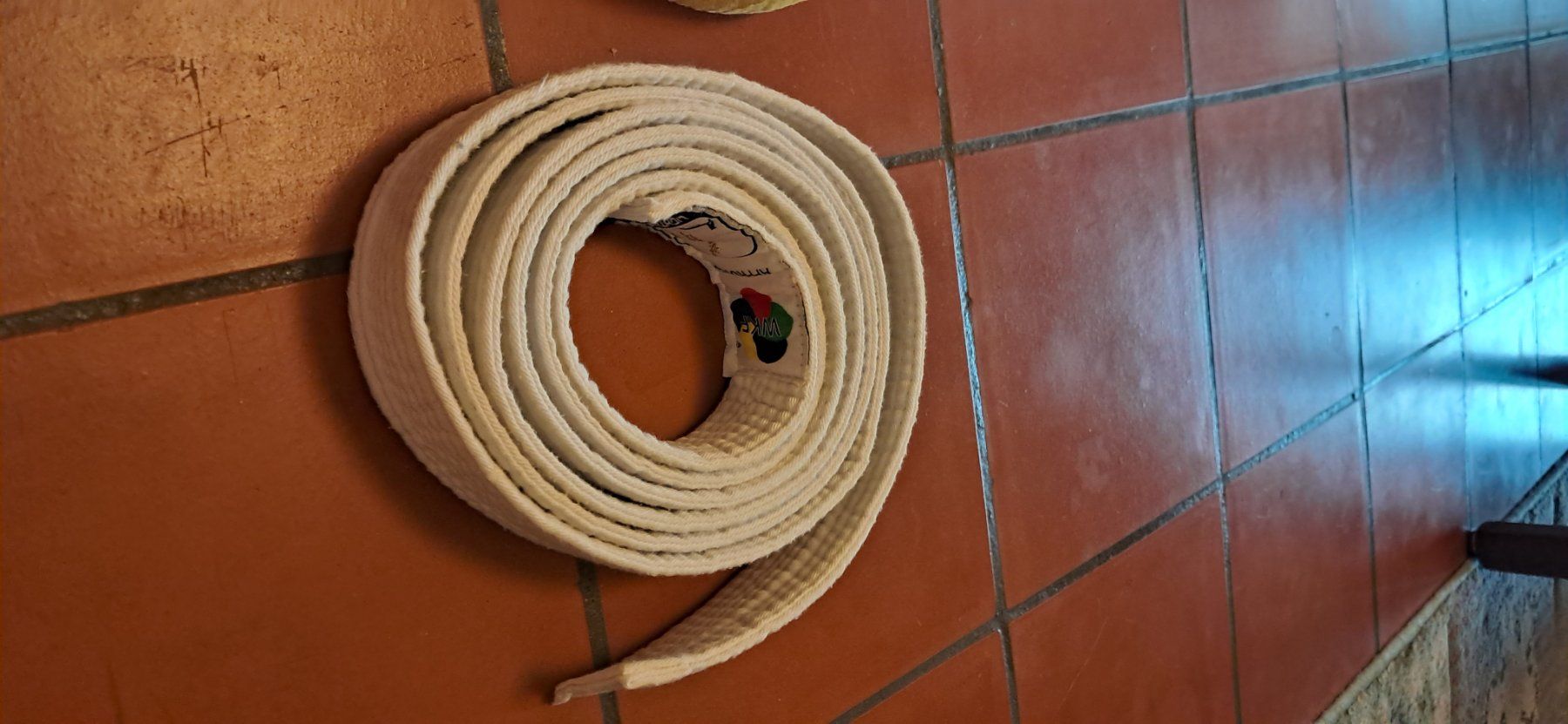 Attrezzatura da arrampicata: Karategurt assortiert 5 Farben – Usato da Biglen venduto da Jolly5 4