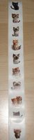 10 süsse Katzensticker rund