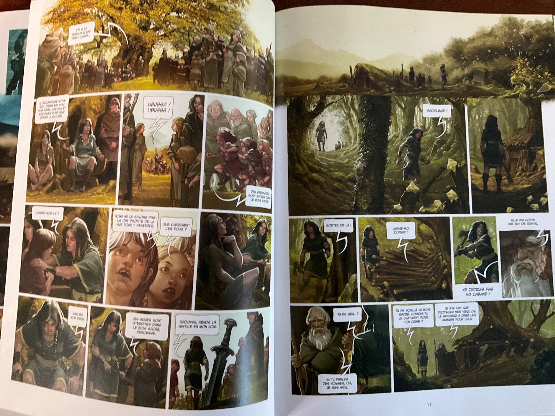 Fumetti: La guerre des Amazones BD – Usato da Avenches venduto da Lactobacille 2