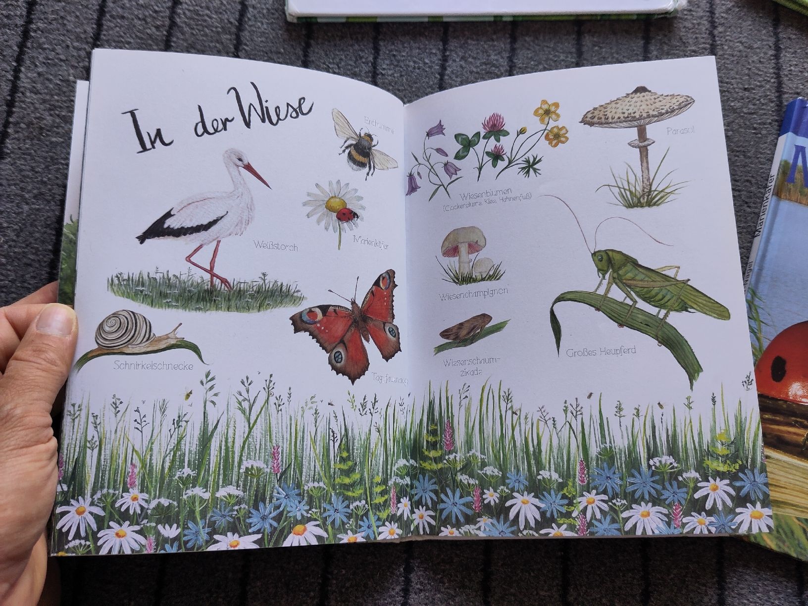 Livres: Bücherpaket Natur & Tiere  – D'occasion à Dettighofen Lengw. par mai_75wt 6