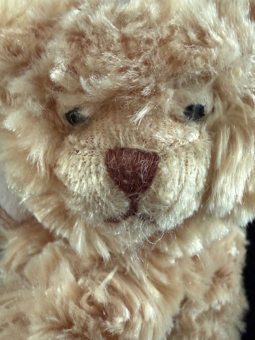 Giocattoli: BUKOWSKI Teddybär klein – Nuovo (secondo la descrizione) da Richterswil venduto da Eunoia85 5
