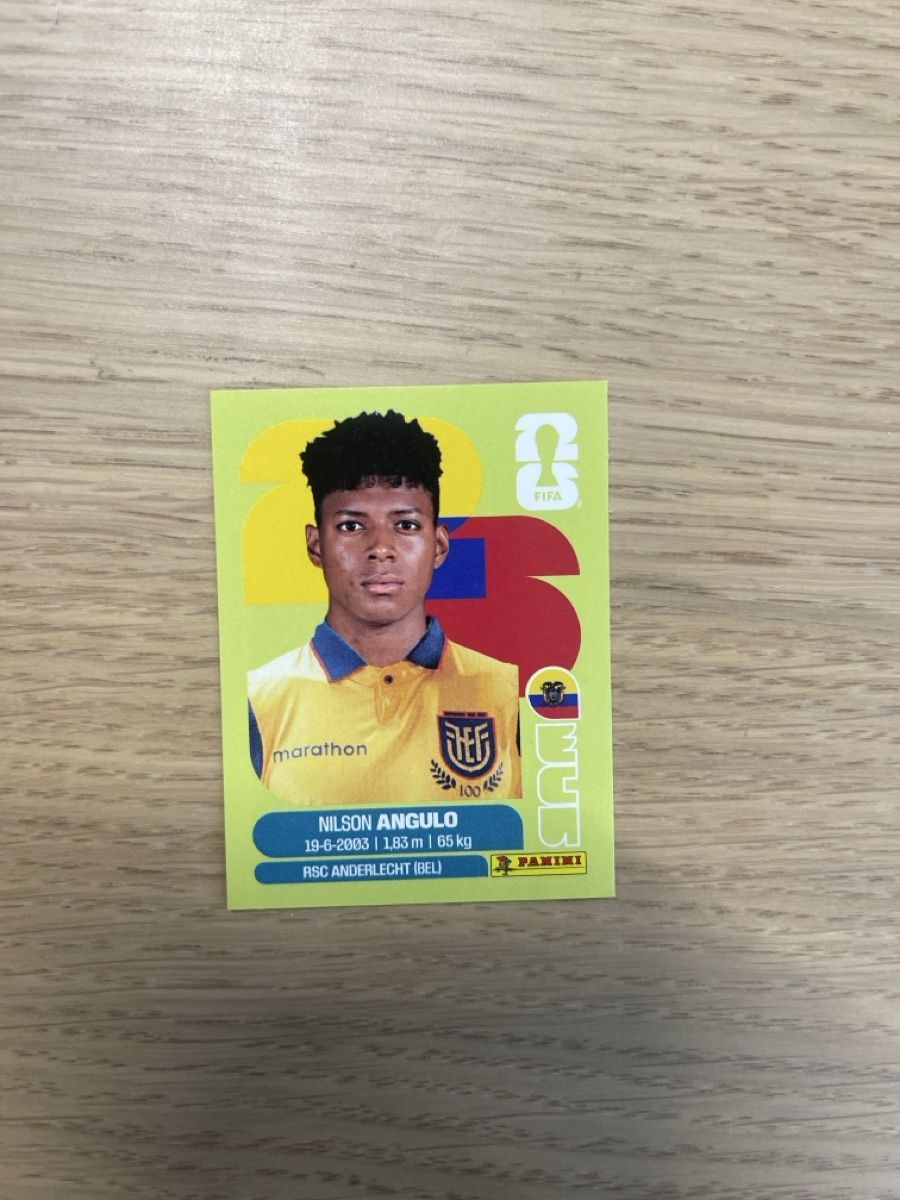 Aufkleber: Panini FIFA WC ECU 17 – Neu (gemäss Beschreibung) aus Lausanne 26 von mar_2ldv