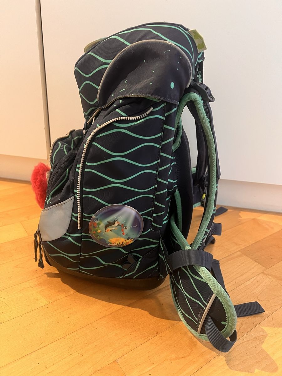 Ergobag Kindertaschen: Ergobag Schulthek – Gebraucht aus Zürich von evebleu 1