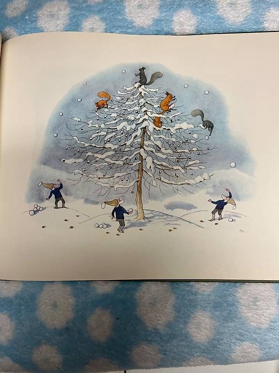 Bücher: Buch Ein Wintermärchen von E. Kreidolf – Gebraucht aus Eschenbach SG von Joey-Li 1