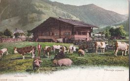Landwirtschaft Alpenweide