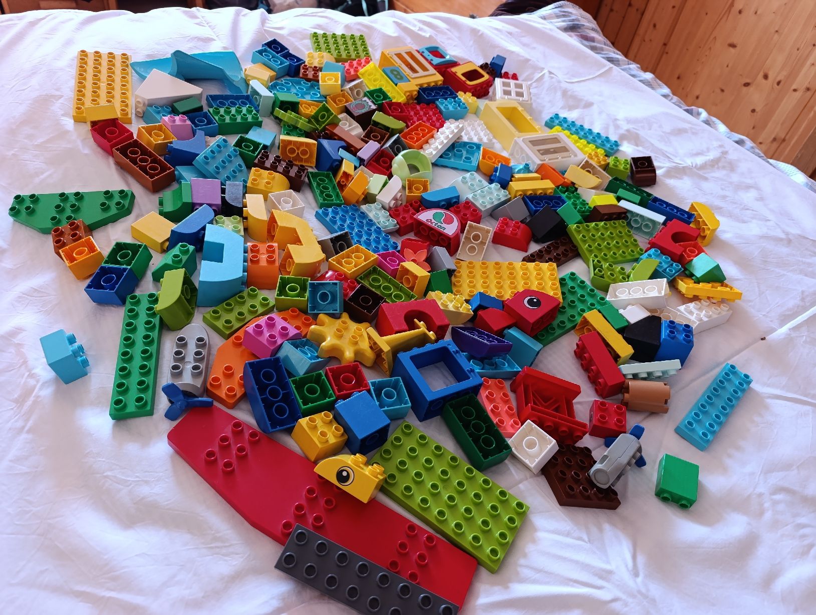 Lego Spielzeuge: 200 Lego Duplo Bausteine – Gebraucht aus Oberarth von sil_9dfs 8