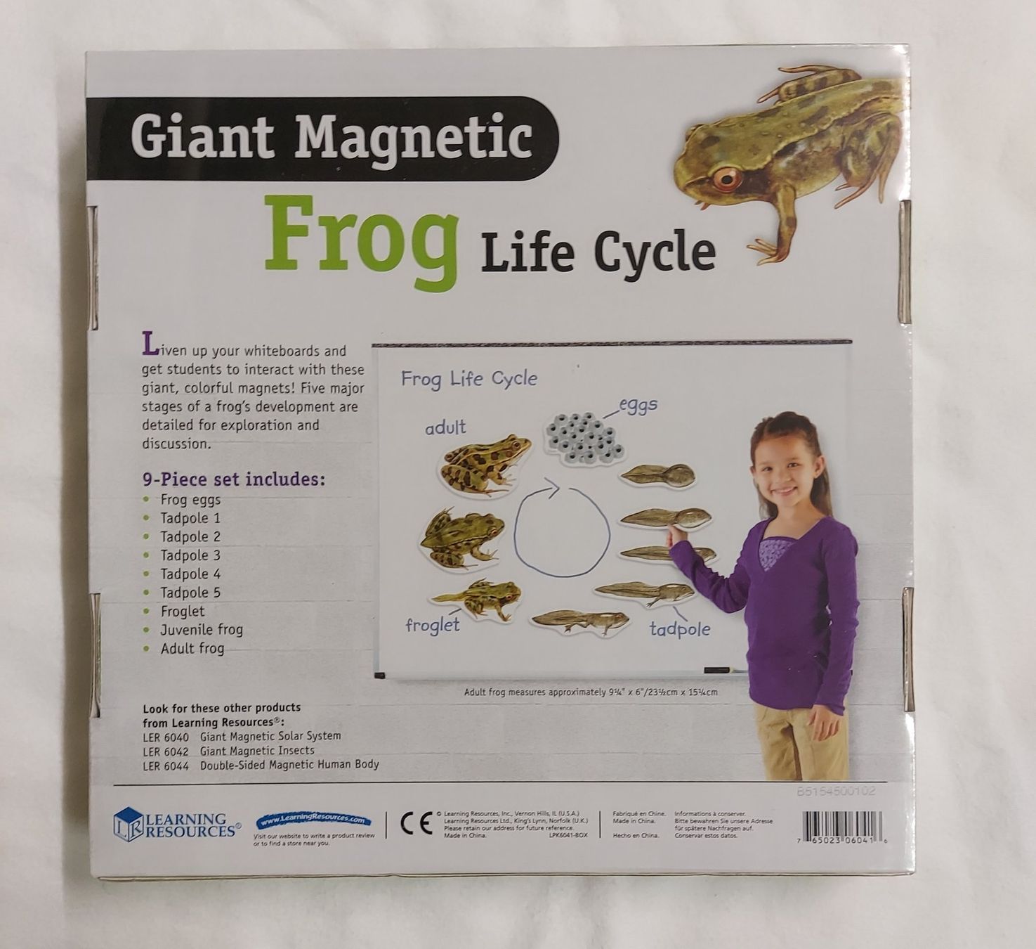 Calamite: Neues Magnet Set Froschzyklus von Learning Ressources – Nuovo e nell'imballaggio originale da Basel venduto da Sinibini86 1