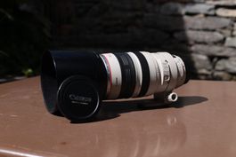 Canon EF 100-400mm f4.5-5.6 L IS