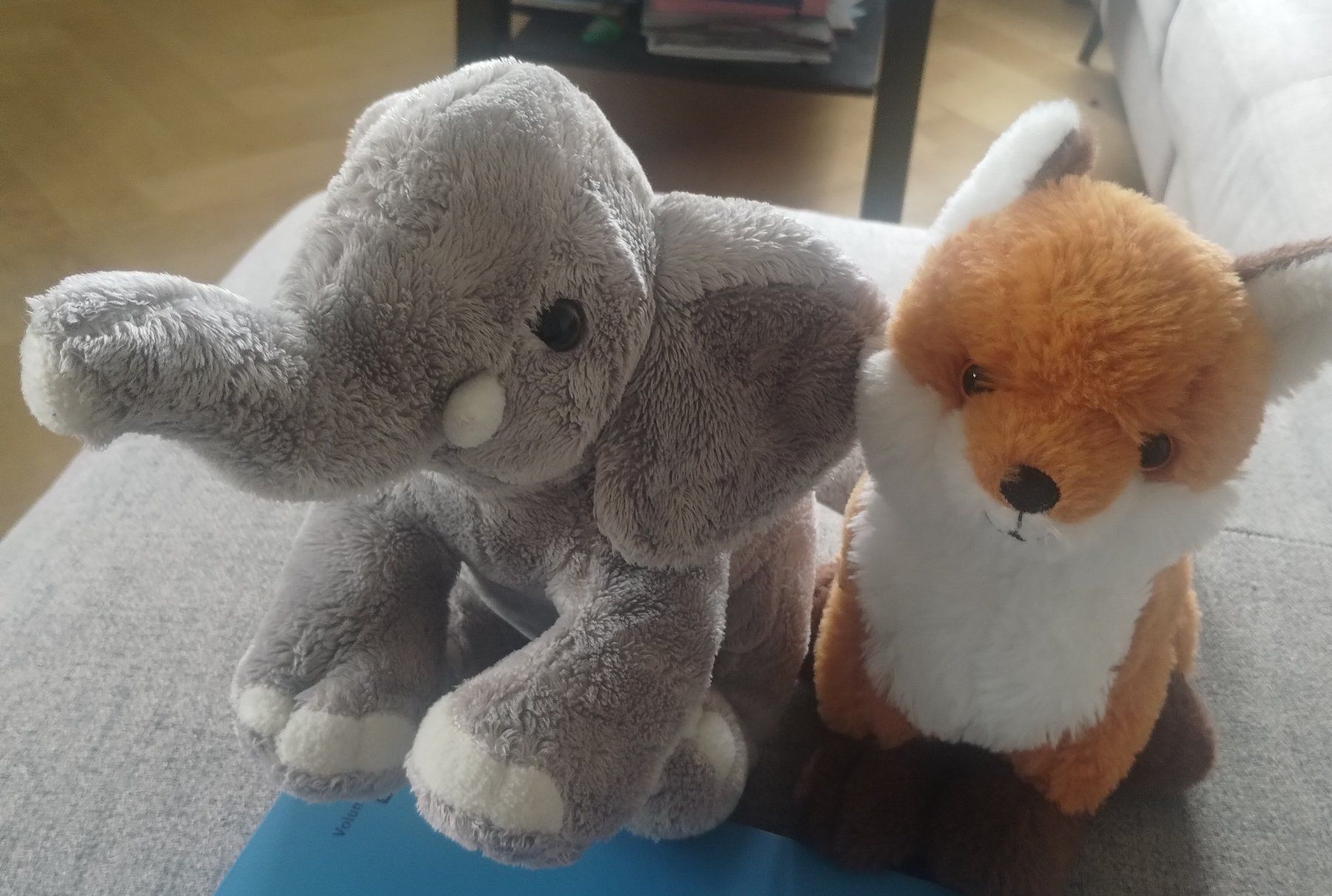 Coop Giocattoli: Lot de peluche Coop – Usato da Lausanne venduto da Martinucci 2
