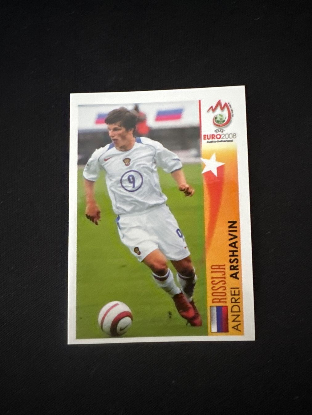 Panini Carte collezionabili: Panini UEFA EM 2008 Sticker - Nr. 503 – Usato da Sulz AG venduto da DealWerk