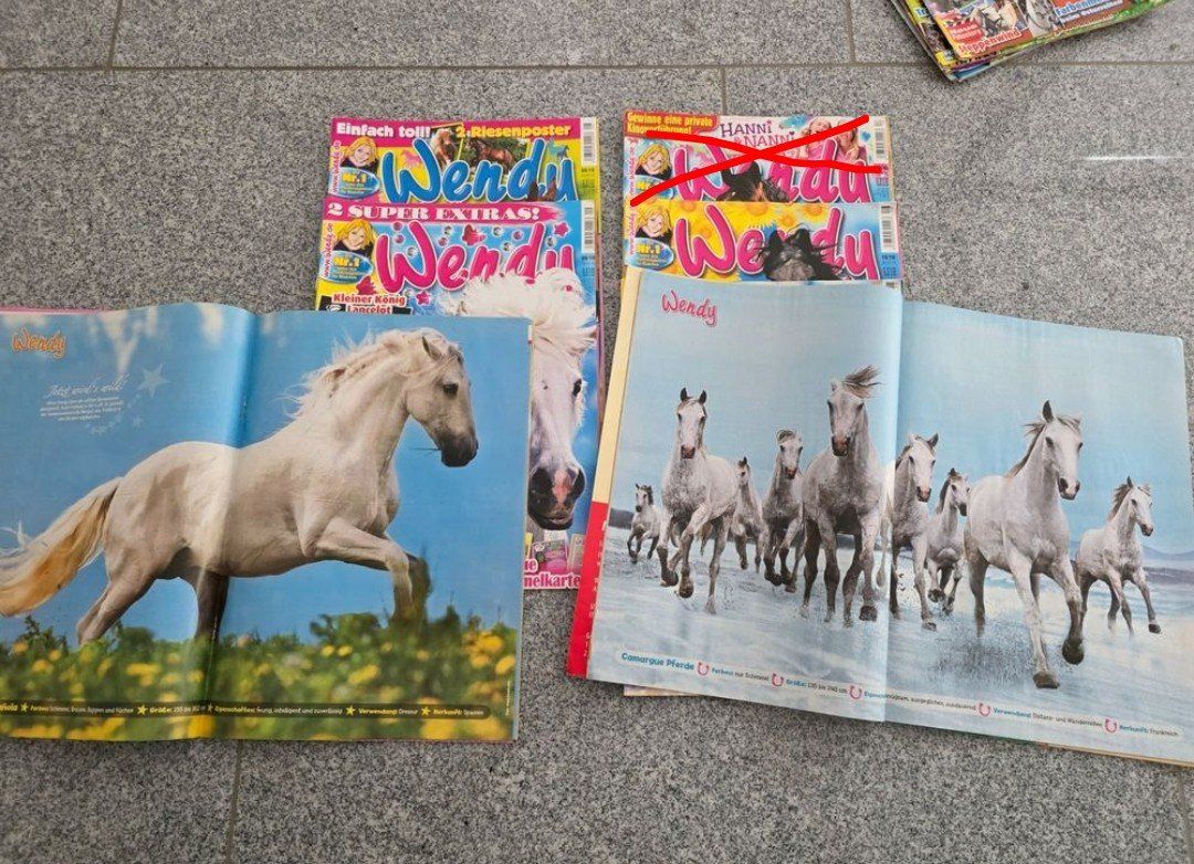 Comics: Wendy Comic Hefte/ Pferde Zeitschriften von 2010 – Gebraucht aus Tägerschen von mamirockt 1