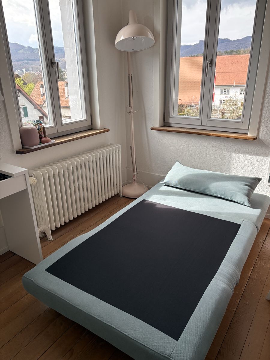 Divani: Ausziehbares Sofa  – Usato da Starrkirch-Wil venduto da grole 4