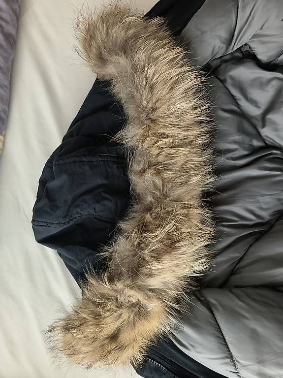 Giacche: Winterjacke schwarz mit Echtfellkragen – Usato da Seewen SZ venduto da MEttlin01 2