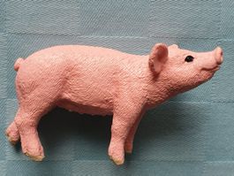 Schwein Ferkel Junges Haustier Tier Schleich