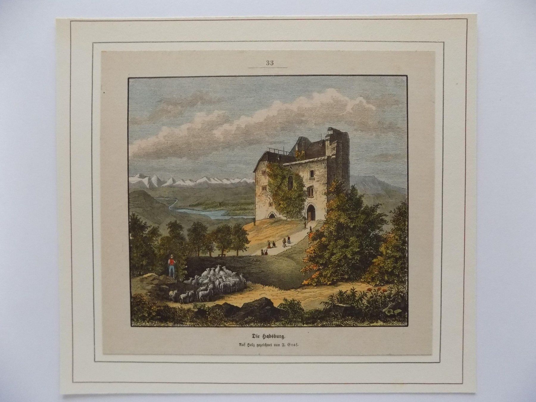 Incisioni: Habsburg Ruine vom Schloss – Usato da Risch venduto da Antikfee